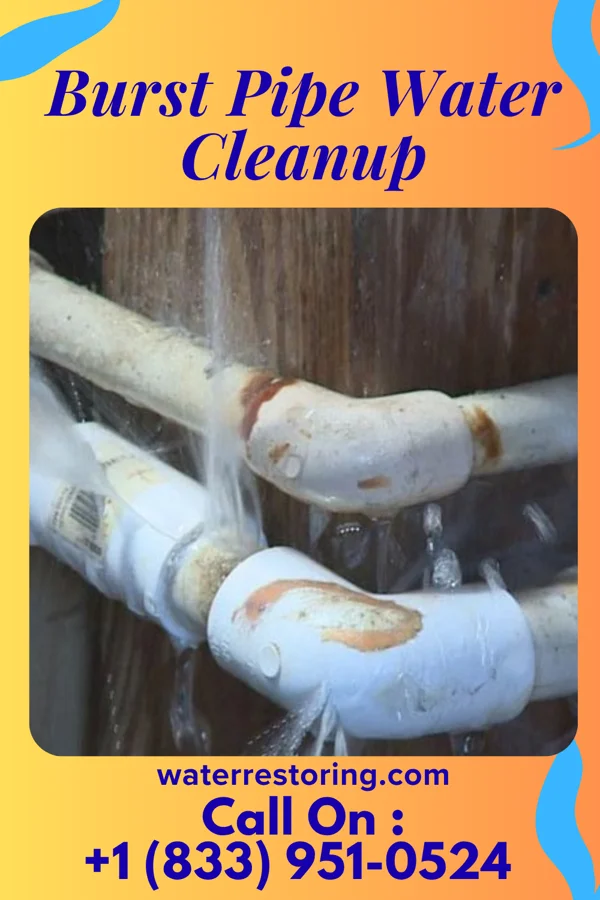 Burst Pipe Water Cleanup in Stoutland, MO