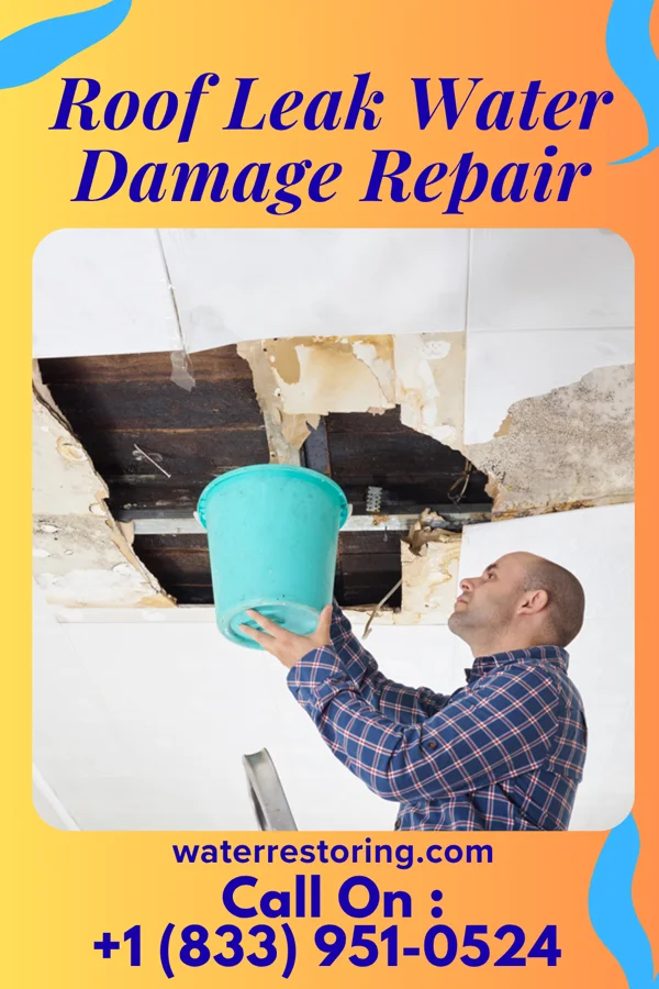 Roof Leak Water Damage Repair in Stoutland, MO