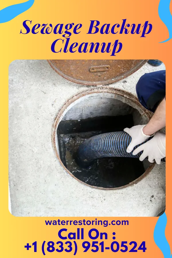 Sewage Backup Cleanup in Stoutland, MO